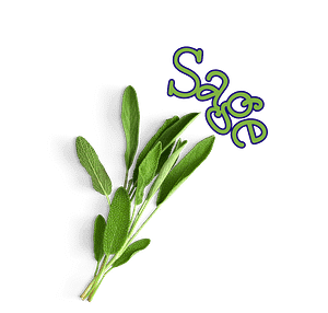 Sage sage